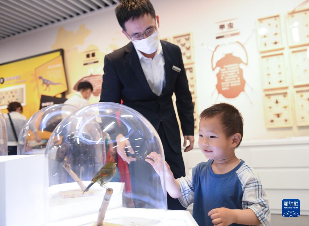 「24時間博物館」で解説員から鳥類の標本に関する説明を受ける子供（6月9日撮影・翁忻暘）。