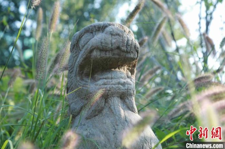 石家荘市霊寿県石刻博物館に展示されている石刻（撮影・白雲飛）。