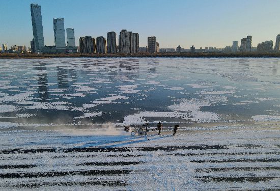 今年も松花江で氷の切り出し作業始まる　黒竜江省哈爾浜