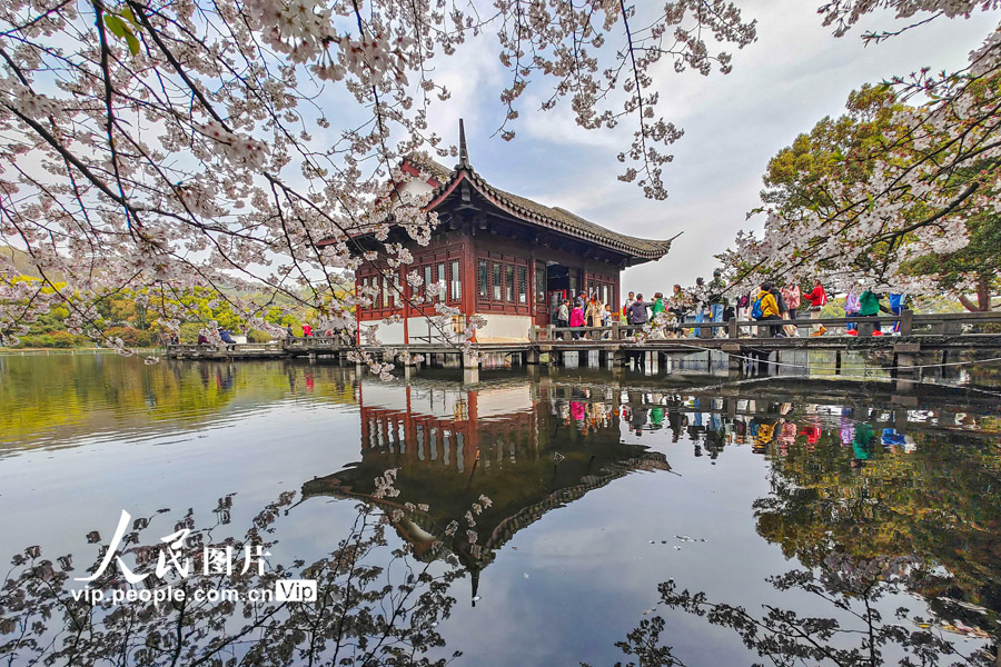 浙江省杭州市の曲院風荷で、満開の桜を鑑賞する観光客（3月27日、撮影・王初/写真著作権は人民図片が所有のため転載禁止）。