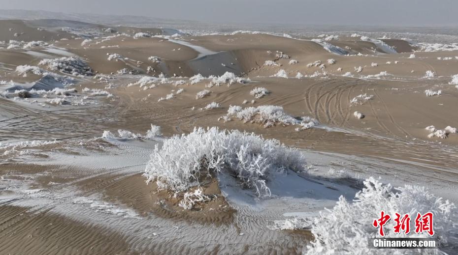 新疆の砂漠で霧氷を観測