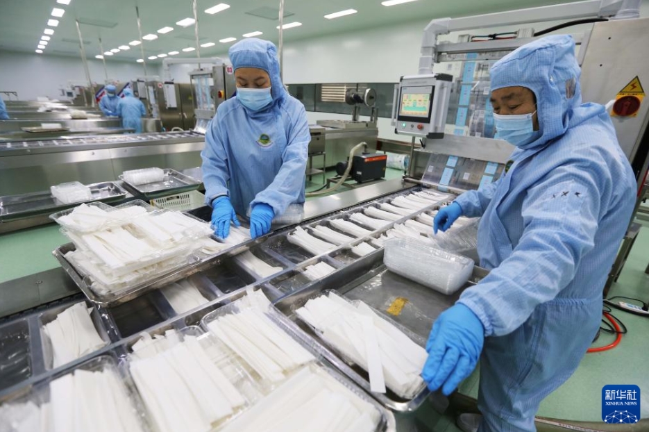 甘粛省定西市安定区にある「定西寛粉」加工企業の工場で、寛粉を包装する作業員（3月26日撮影・王克賢）。