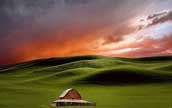 米カメラマンが撮影した草原の美しい風景